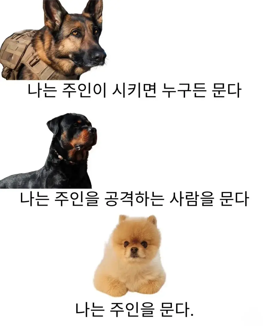 큰 댕댕이와 작은 댕댕이의 차이점 | 인스티즈