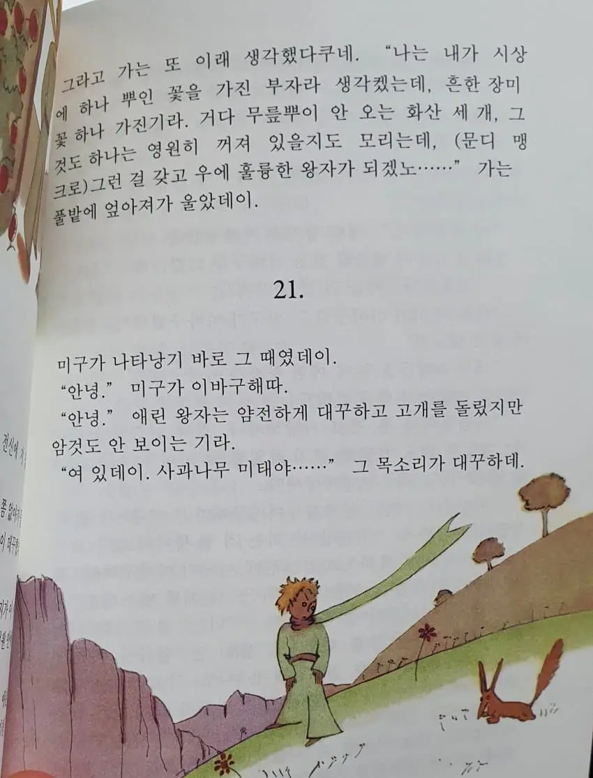 경상도 사투리로 읽는 어린왕자.jpg | 인스티즈