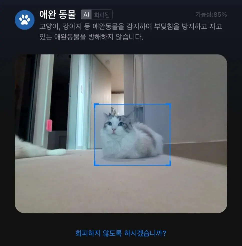 Kc5uI.webp