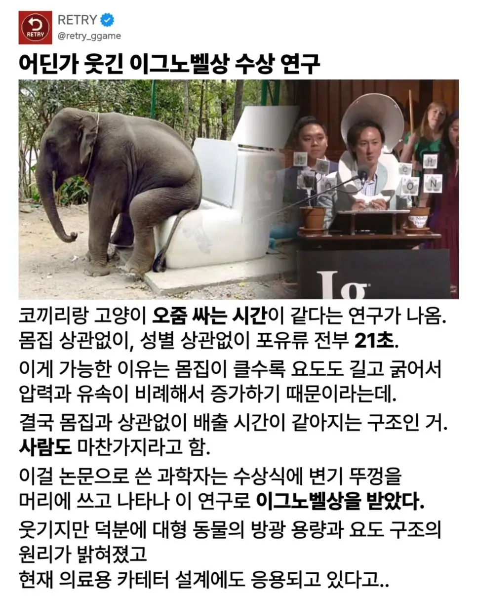 의외로 코끼리랑 고양이랑 인간이 같다는 것.jpg | 인스티즈
