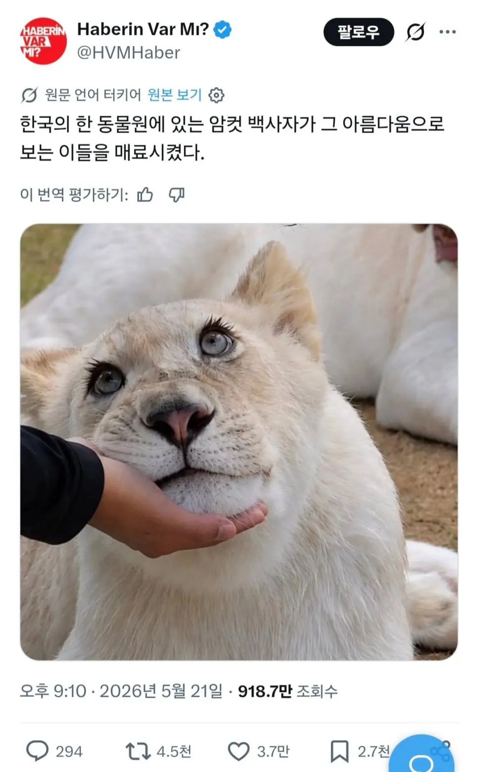 해외에서 화제인 한국 동물원 | 인스티즈