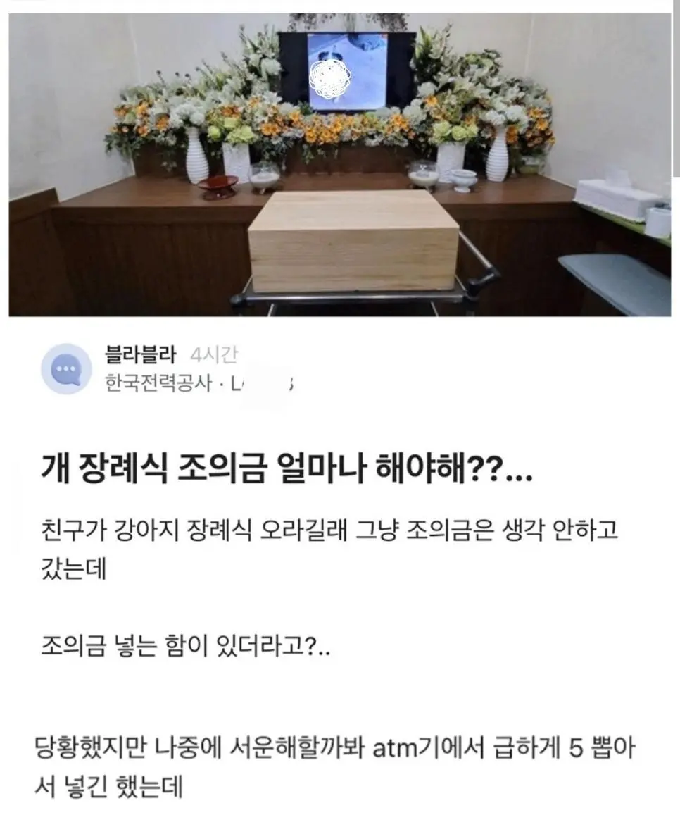 블라에서 논란이었던 강아지 장례식 | 인스티즈