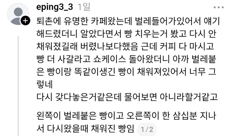 벌레 붙은 빵 재사용 카페 논란 | 인스티즈